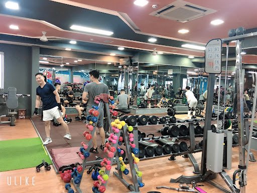 Tổng Hợp Các Phòng Tập Gym Hải Phòng Giá Rẻ, Tốt Nhất 123 GYM Fitness & Yoga Tô Hiệu Hải Phòng