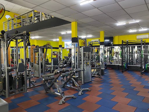 Top 9 Phòng Gym Gần Nguyễn Kiệm, Phú Nhuận - Lựa Chọn Uy Tín Nhất CLB Thuận Gym Phú Nhuận Nguyễn Kiệm