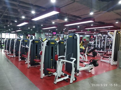 Top 10 Phòng Gym Hà Đông Hà Nội 2025: Giá Rẻ, Yoga, Kickboxing, Đánh Giá Cao California Fitness Mac Plaza Hà Đông Hà Nội