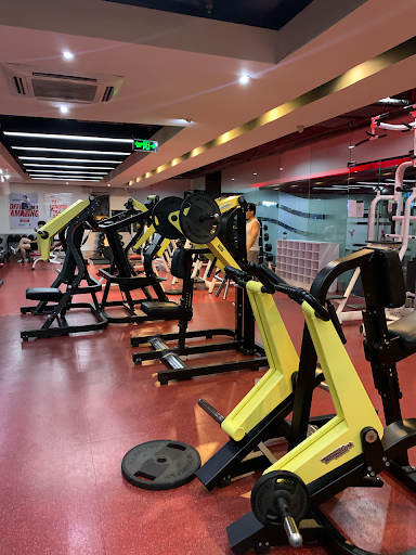 Top 16 Phòng Gym Gần Nguyễn Trãi, Quận 5 - Lựa Chọn Tốt Nhất Năm 2025 California Fitness & Yoga Hùng Vương Plaza Nguyễn Trãi Quận 5