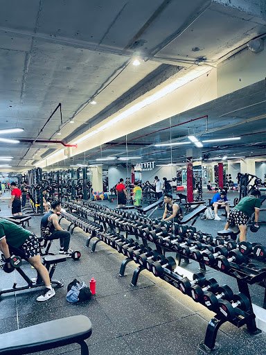 Review Các Phòng Tập Gym Bà Rịa Vũng Tàu Giá Rẻ, Uy Tín, Chất Lượng Nhất City Fitness Vũng Tàu Đô thị Chí Linh Bà Rịa Vũng Tàu