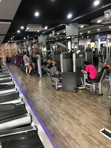 Top 9 Phòng Gym Gần Nguyễn Kiệm, Phú Nhuận - Lựa Chọn Uy Tín Nhất Dung's Gym Nguyễn Kiệm Phú Nhuận