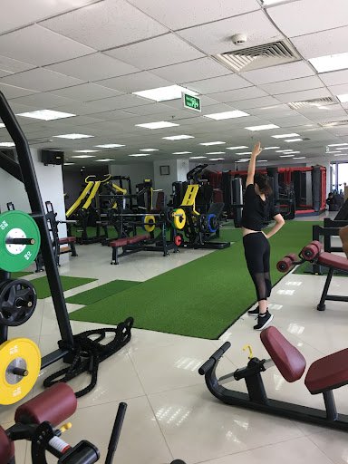 Tổng Hợp Các Phòng Tập Gym Hải Phòng Giá Rẻ, Tốt Nhất Eco-Gym Hồng Bàng Hải Phòng