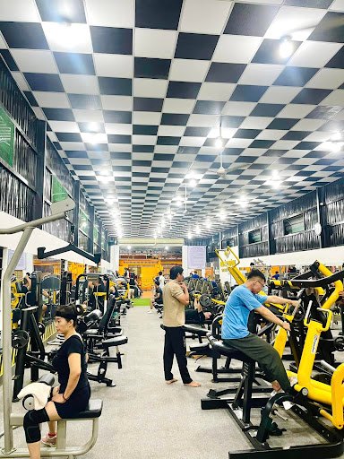 Review Các Phòng Tập Gym Bà Rịa Vũng Tàu Giá Rẻ, Uy Tín, Chất Lượng Nhất GYM NGUYỄN TRƯỜNG Vũng Tàu Bà Rịa Vũng Tàu