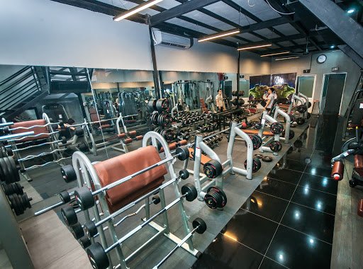 Top 20 Phòng Gym Gần Cộng Hòa, Tân Bình - Tốt Nhất 2025 GYM THỂ LỰC VÀNG Tân Bình