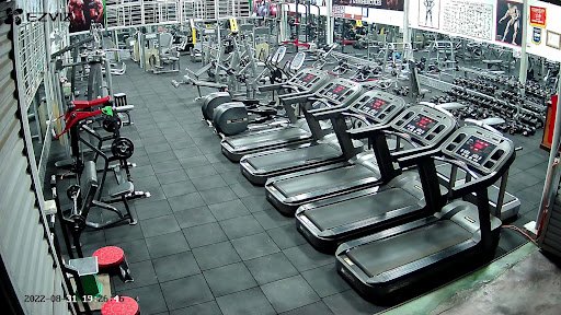 Tổng Hợp Các Phòng Tập Gym Hải Phòng Giá Rẻ, Tốt Nhất Gym Hercules Hải An Hải Phòng