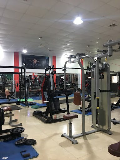 Top 10 Phòng Gym Hà Đông Hà Nội 2025: Giá Rẻ, Yoga, Kickboxing, Đánh Giá Cao Gym Phan Anh Hà Đông Hà Nội