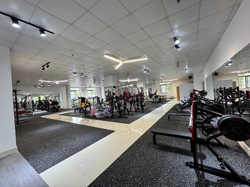 Top 8 Phòng Gym và Yoga Bắc Giang Giá Rẻ, Yoga, Boxing, Uy Tín Hung Pham Fitness Dinh Ke Bac Giang