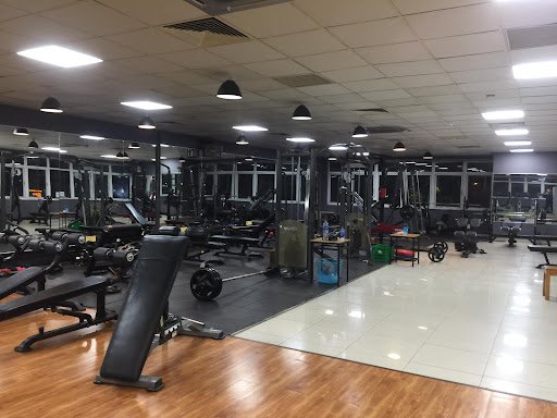 Top 10 Phòng Gym Cầu Giấy Hà Nội 2025: Giá Rẻ, Chất Lượng, Đánh Giá Cao MD Fitness Nguyễn Chánh Cầu Giấy Hà Nội