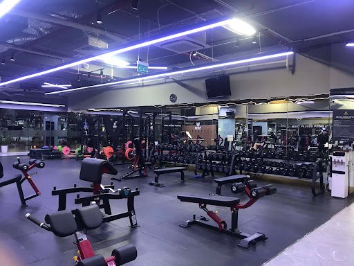 Top 20 Phòng Tập Gym Hà Nội Tốt Nhất Hiện Nay MVP Fitness Hanoi Aqua Central Yên Phụ Hà Nội