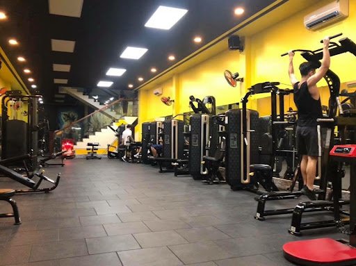 Top 10 Phòng Gym Cà Mau Giá Rẻ, Chuyên Nghiệp Muscle House Gym Ca Mau