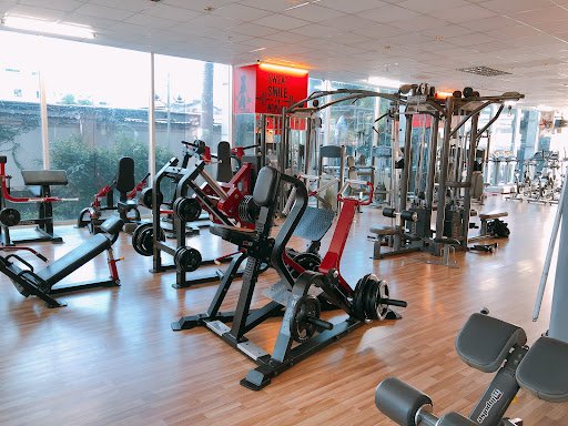 Muscleholics Gym Lê Quát Tân Phú