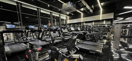 Top 20 Phòng Tập Gym Hà Nội Tốt Nhất Hiện Nay Mvp Fitness Cầu Giấy Hà Nội