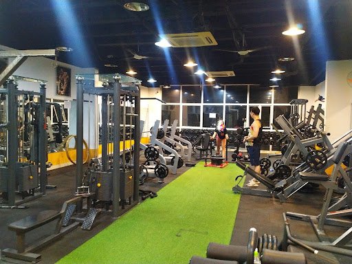 Top 20 Phòng Tập Gym Hà Nội Tốt Nhất Hiện Nay Phòng tập Gym Hòa Bình Nguyễn Khuyến Hà Nội
