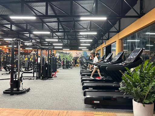 Top 15 Phòng Gym và Thể Dục Bắc Ninh Giá Rẻ, Yoga, Pilates, Kickboxing Shark Gym Bắc Ninh