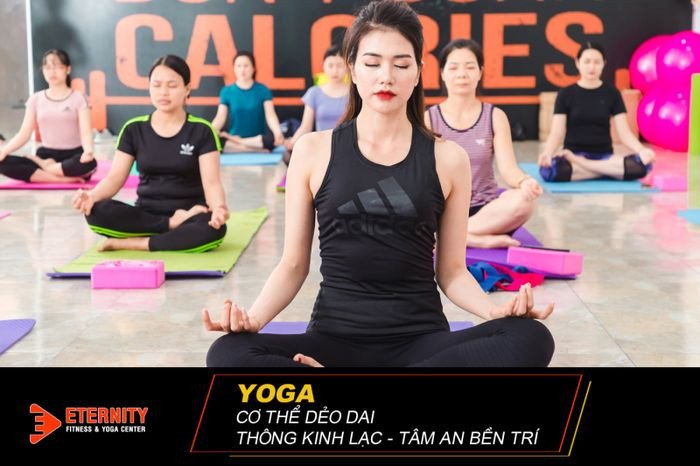 Không gian tập luyện hiện đại tại Thánh Địa Sức Khỏe &amp; Yoga Center với đầy đủ máy móc và ánh sáng tự nhiên