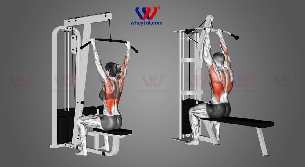 Kéo xô trên máy Lat Pulldown Machine cho nữ, lưng thẳng