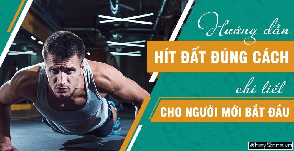 Các Bài Tập Gym Cho Người Mới Tại Nhà: Hướng Dẫn Chi Tiết Hình ảnh minh họa kỹ thuật chống đẩy đúng cách cho người mới