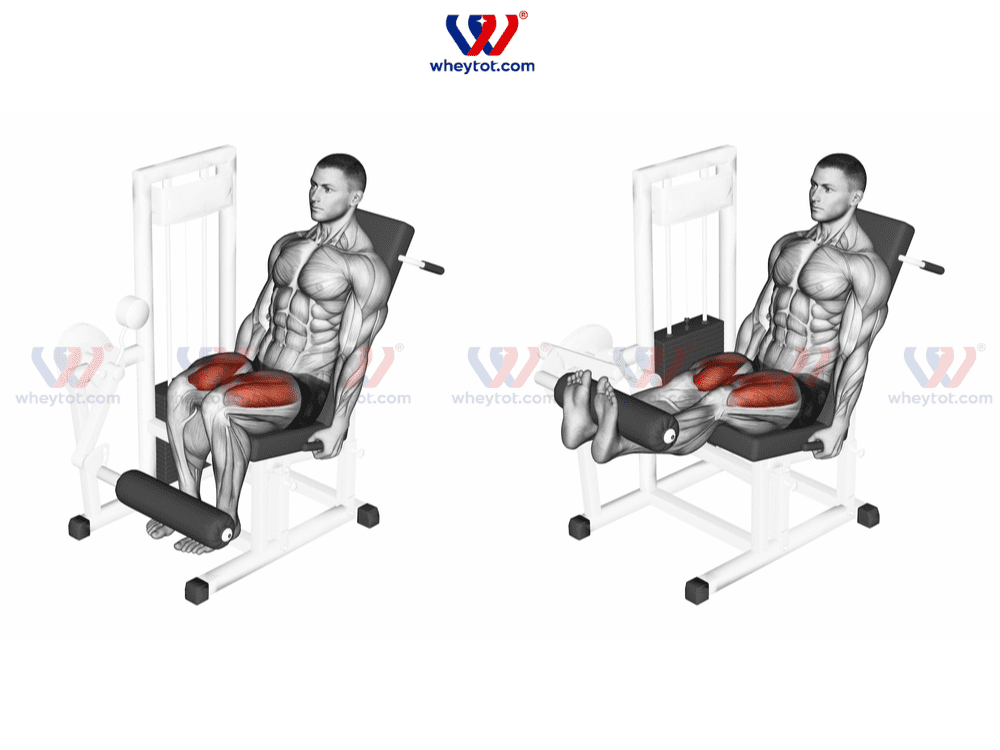 Tập Gym Chân Cho Nam: Bí Quyết Xây Dựng Đôi Chân Vững Chãi Hướng dẫn kỹ thuật tập leg press, leg extension và leg curl đúng cách, sử dụng máy tập
