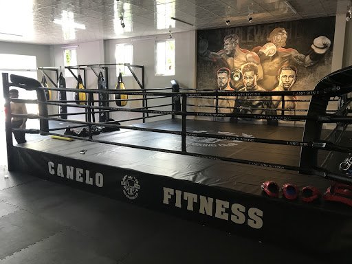 Top 7 Phòng Tập Yoga Lạng Sơn Giá Rẻ, Uy Tín Giữa Núi Rừng Đông Bắc Canelo Fitness Lạng Sơn