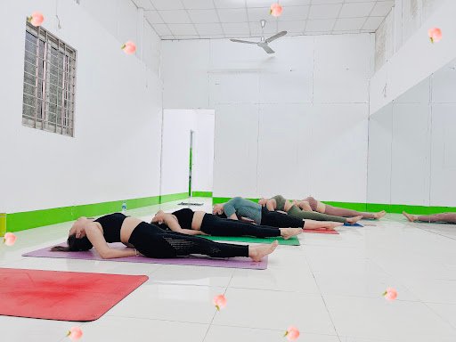 Top 10 Phòng Tập Yoga Long An Giá Rẻ, Uy Tín Giữa Đồng Bằng Sông Cửu Long AYUR YOGA 56 Long An