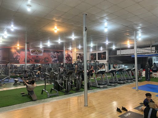 Top 6 Phòng Gym và Yoga Cao Bằng Giá Rẻ, Chuyên Nghiệp Big Star Gym Cao Bang