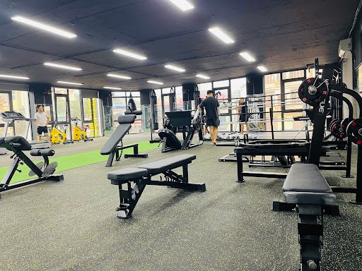 Review 10 Phòng Tập Gym Quảng Ninh Chất Lượng, Giá Rẻ Tốt Nhất Bliss Fitness Ha Long Quang Ninh