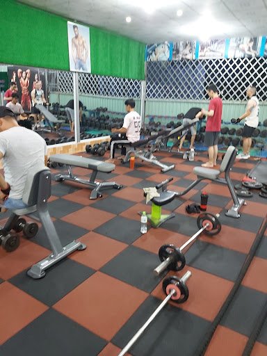 CLB Gym Sinh Viên Trà Vinh
