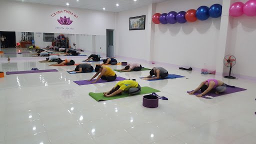 Top 10 Phòng Tập Yoga Bình Phước Tốt Nhất Hiện Nay CLB Yoga Phương Anh Tân Phú