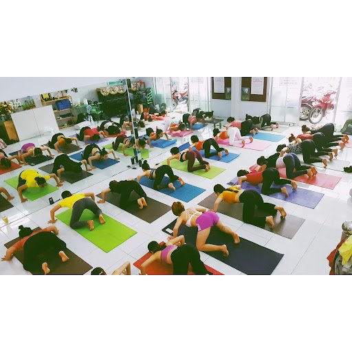 Danh Sách Các Phòng Tập Yoga tại Thái Bình Giá Rẻ, Uy Tín Bên Đồng Lúa Bắc Bộ CLB Yoga & Ayurveda Full For Life - Trung tâm yoga tại Thái Bình
