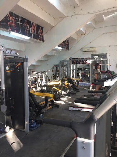 Câu lạc bộ Gym Kiến Càng Ninh Thuận