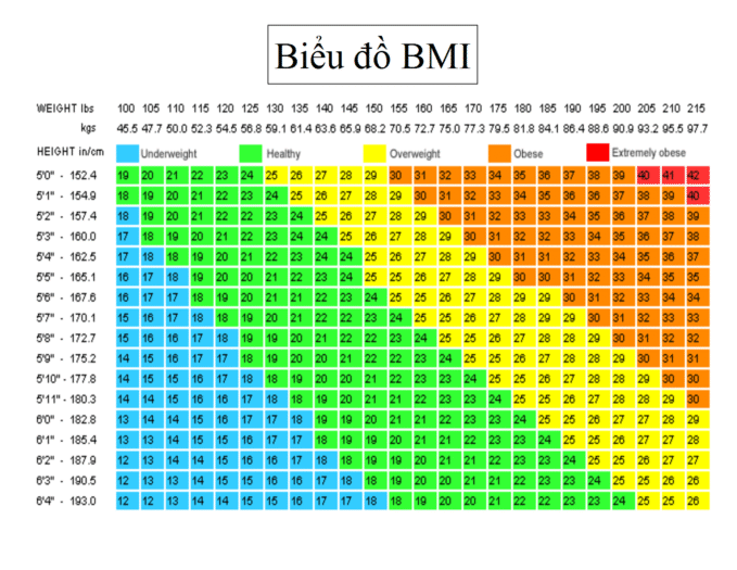 Chỉ số BMI là gì? - Thực phẩm cộng đồng