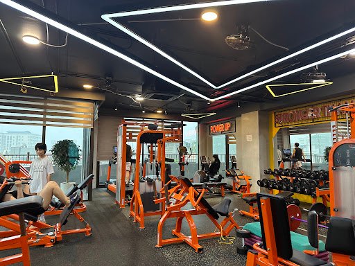 Top 10 Phòng Tập Gym Chất Lượng Gần Đường Lạch Tray, Hải Phòng Giá Rẻ, Uy Tín D.O.M Pilates - Hải Phòng - Phòng tập Pilates tại Lê Chân, Hải Phòng