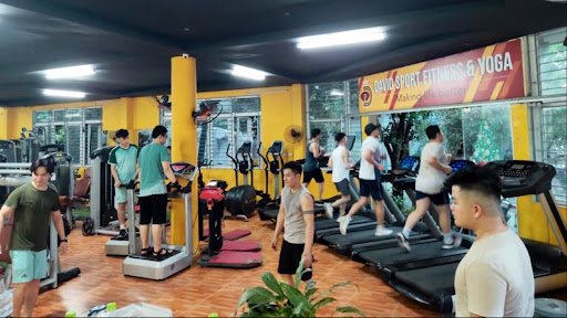Danh Sách Các Phòng Tập Yoga tại Vĩnh Phúc Giá Rẻ, Uy Tín Giữa Núi Tam Đảo David Sport Fitness & Yoga - Phòng tập yoga tại Vĩnh Phúc
