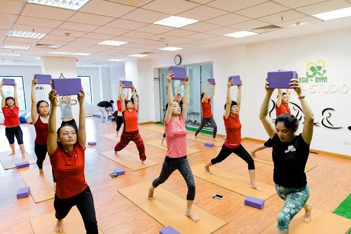 Top 10 Phòng Tập Yoga Hải Phòng Giá Rẻ, Chất Lượng, Uy Tín Eco-Gym Hồng Bàng