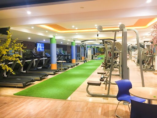 Danh Sách Các Phòng Tập Yoga tại Vĩnh Phúc Giá Rẻ, Uy Tín Giữa Núi Tam Đảo Fami Fitness amp Yoga Center Vinh Yen Phong tap yoga tai Vinh Phuc