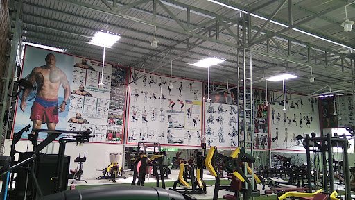 G8 GYM Đồng Tháp