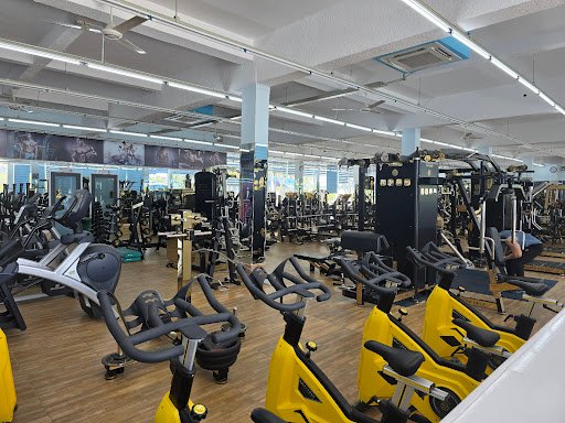 Top 10 Phòng Tập Yoga Bạc Liêu Giá Rẻ, Chất Lượng, Uy Tín GYM CENTER HP ZONE Phuong 1