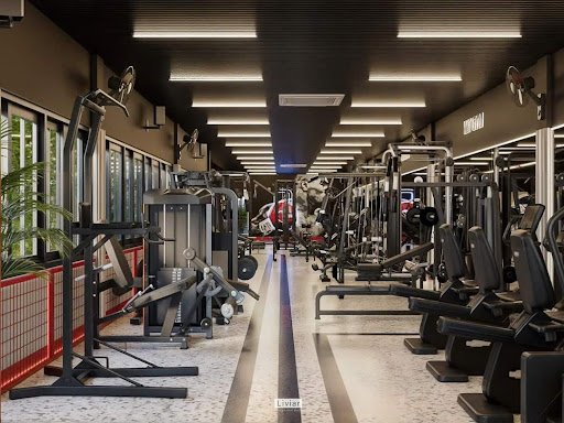 Top 10 Phòng Tập Gym Trà Vinh Giá Rẻ, Chất Lượng GYM MT Tra Vinh