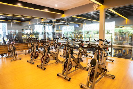 Top 8 Phòng Gym Gần đường Nguyễn Đình Chiểu Quận 3, TP.HCM Chất Lượng, Tiện Nghi Gym One - Phòng tập thể dục tại Quận 3, TP.HCM