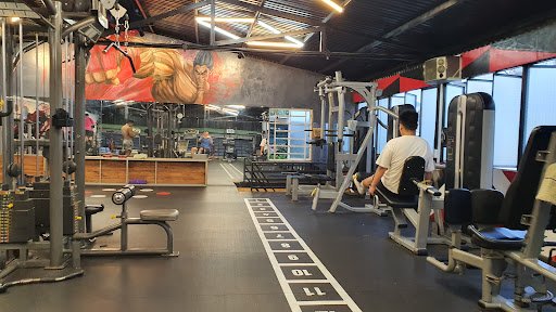 Gym Phong Vũ Nha Trang Khánh Hòa