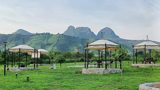 Học Viện Zen Yoga Việt Nam Ninh Bình