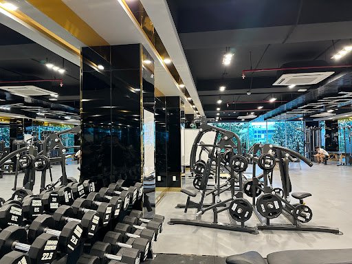 Top 10 Phòng Tập Gym Gần Đường Nguyễn Chí Thanh, Quận 5, TP.HCM Giá Rẻ, Uy Tín Human Fitness and Yoga Phong tap the duc tai Quan 5 TP.HCM
