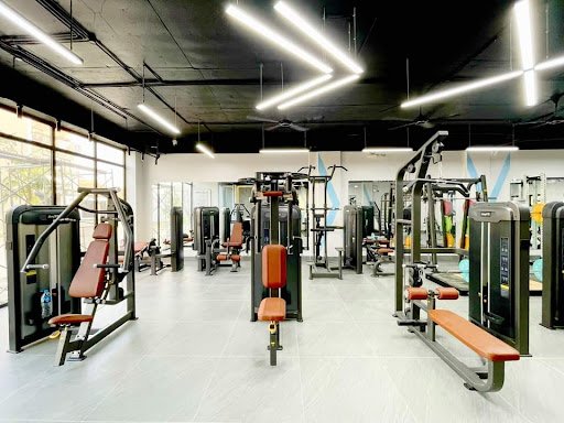 Top 10 Phòng Tập Gym Yên Bái Giá Rẻ, Chất Lượng Love Fitness amp Pilates Yen Bai