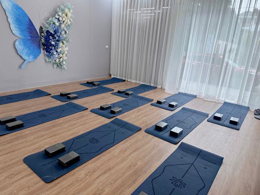 Lynn Yoga Center Ninh Bình