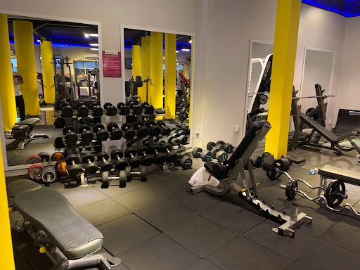 Top 8 Phòng Gym Gần đường Phạm Hồng Thái Quận 1, TP.HCM Chất Lượng, Tiện Nghi Mach's Gym - Phòng tập thể dục tại Quận 1, TP.HCM
