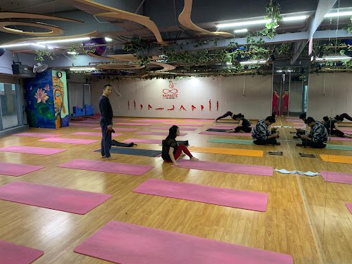 Top 10 Phòng Tập Yoga Hà Nội Chất Lượng, Giá Rẻ Hiện Nay Namaste Yoga & Dance Hà Nội