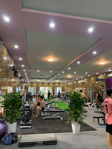 New Pro FITNESS Quảng Nam