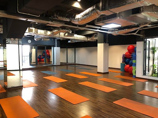 Top 10 Phòng Tập Yoga Quận Hà Đông Hà Nội Giá Rẻ, Uy Tín Nutrition Fitness An Hung Phong tap the duc tai Ha Dong Ha Noi