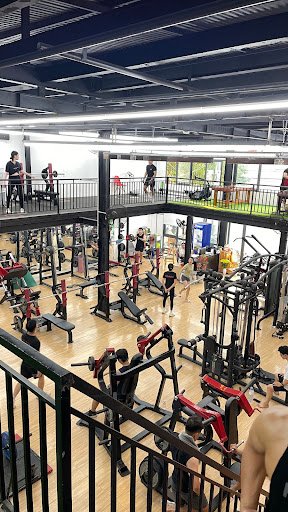 Top 10 Phòng Tập Gym Gần Đường Hồ Xuân Hương Đà Nẵng Giá Rẻ, Uy Tín PIG GYM - Phòng tập thể dục tại Ngũ Hành Sơn, Đà Nẵng